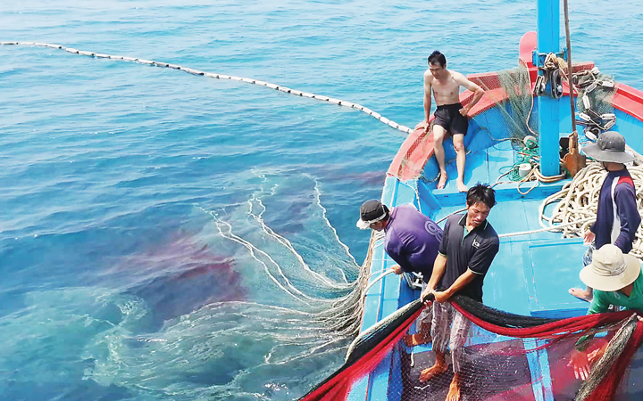 Kế hoạch "6 rõ" hướng tới gỡ cảnh báo “Thẻ vàng” của EC trong năm 2025