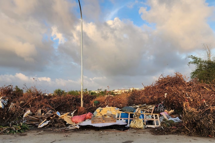 Nghệ An: Cành, lá cây tập kết quá lâu biến đường D3 thành bãi rác tự phát