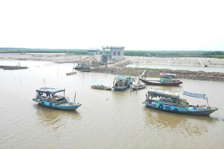 Ninh Bình: Xử lý nghiêm các hành vi khai thác thủy sản bất hợp pháp