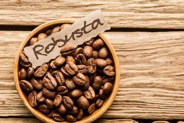 3 trụ cột phát triển ngành cà phê niên vụ 2025 - 2026