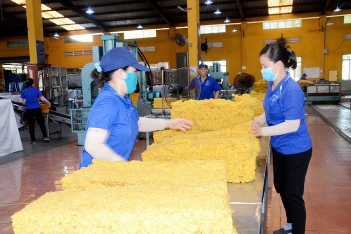 Đồng Nai mở đợt thanh tra toàn diện các cơ sở chế biến mủ cao su
