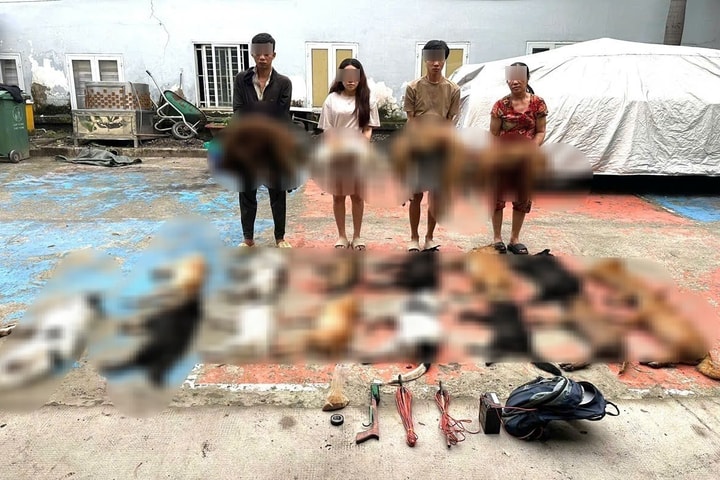 Công an TP. HCM bắt giữ 4 đối tượng tiêu thụ và trộm chó