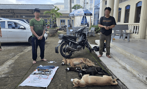 Bắt quả tang 2 đối tượng sử dụng súng điện tự chế để trộm chó