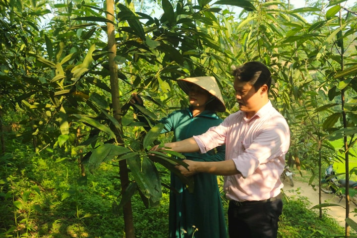 Tăng cường chỉ đạo thực hiện Chương trình giảm nghèo bền vững tại Thái Nguyên