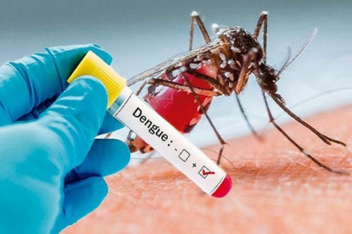 Hà Nội: Ca mắc sốt xuất huyết tiếp tục tăng, nhiều ổ dịch vẫn hoạt động