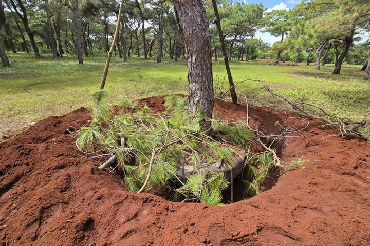Gia Lai yêu cầu nh à đ ầu t ư thực hiện cam kết triển khai Dự án Sân golf Đak Đoa