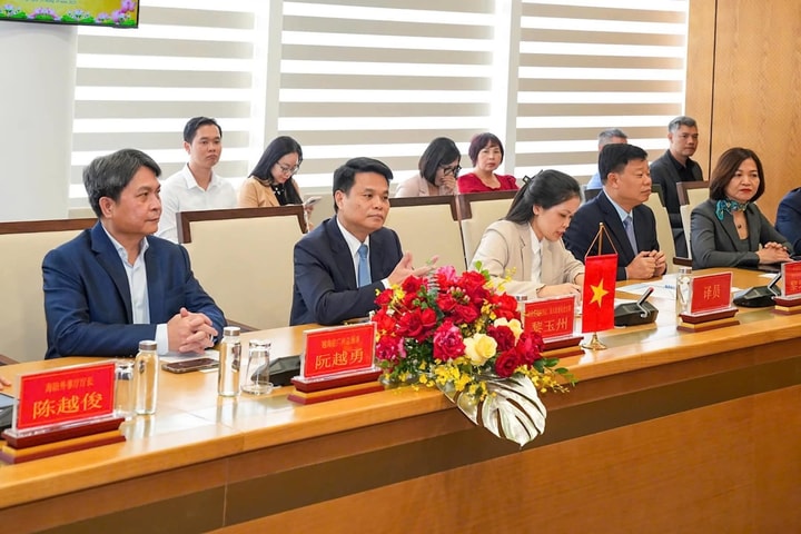 Xúc tiến mở lại và duy trì đường bay Hải Phòng - Thâm Quyến