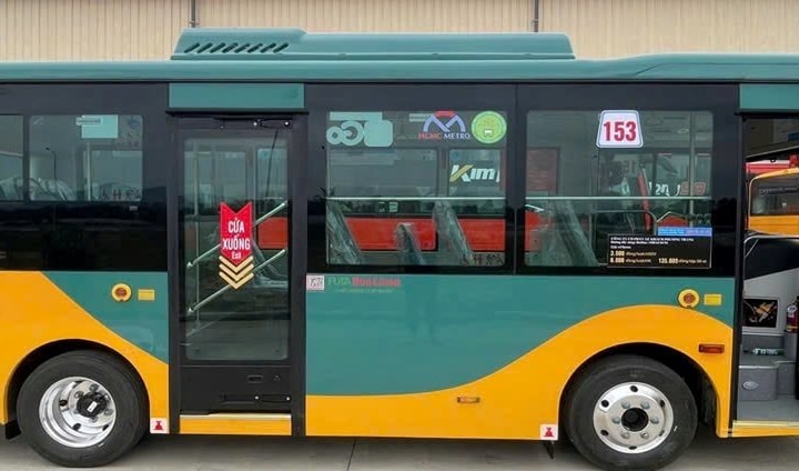TP.HCM muốn chuyển đổi xe buýt sớm hơn lộ trình Chính phủ