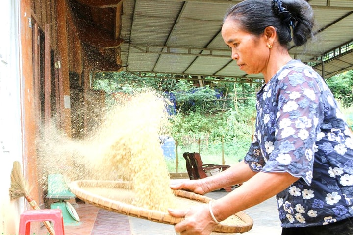 Giữ hồn mùa vàng giữa đại ngàn