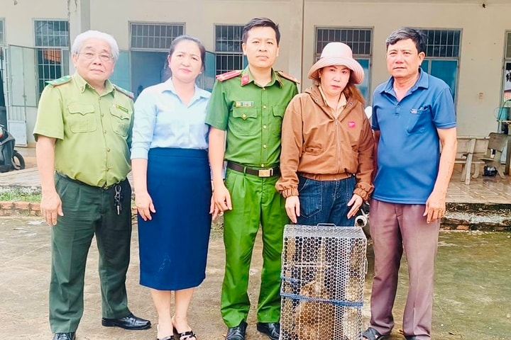 Người dân Đồng Nai giao nộp kỳ đà, khỉ quý, cùng công an thả về rừng