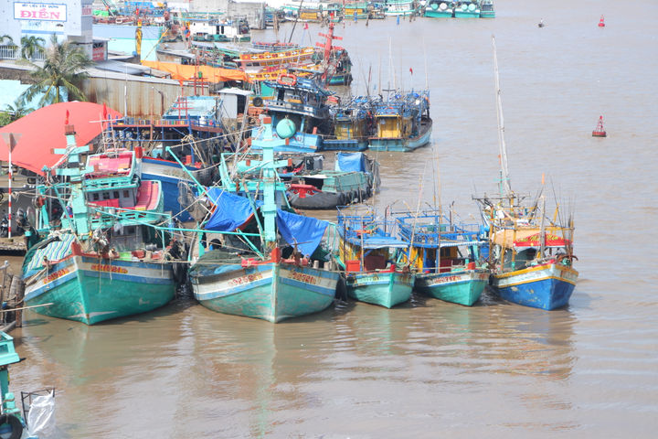 Cà Mau quyết tâm, đồng lòng sớm gỡ “thẻ vàng” IUU
