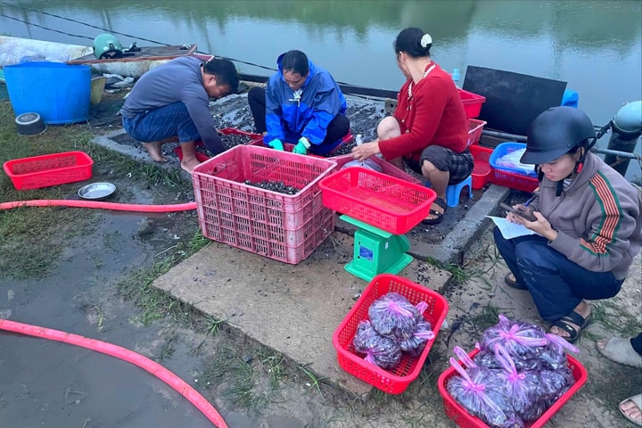 Đảm bảo an toàn và hỗ trợ người dân giảm thiểu thiệt hại trong mưa lũ