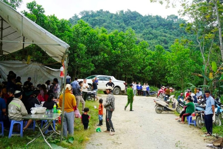 Buộc dừng hoạt động trang trại lợn gây ô nhiễm