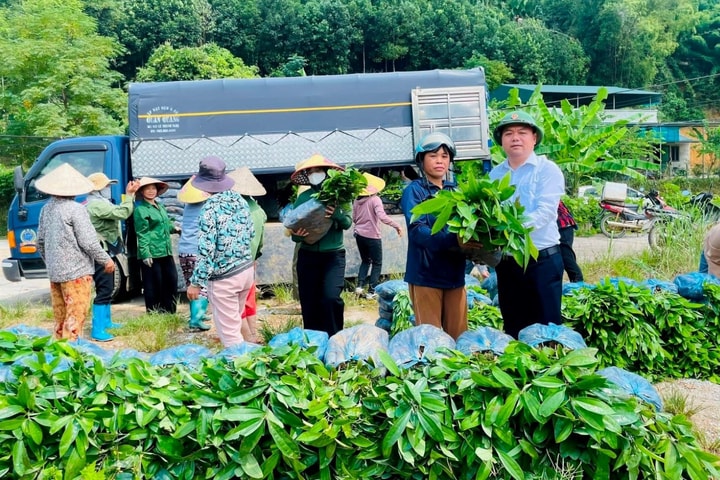 Thái Nguyên: Giảm nghèo bền vững từ những chính sách đi vào thực chất
