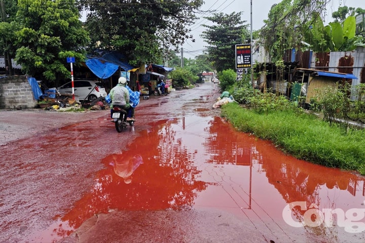 Thái Nguyên: Nước bùn đỏ tràn ra đường, người dân lo ngại ô nhiễm