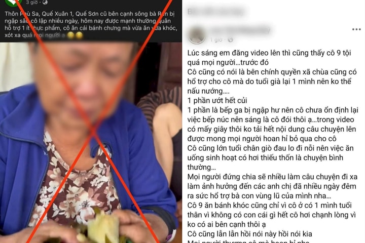 Đà Nẵng: Thông tin “bà cụ nhịn ăn trong lũ” là không đúng sự thật