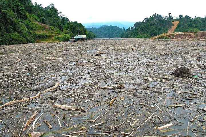 Rác, gỗ mục "bủa vây" mặt hồ thủy điện Hủa Na