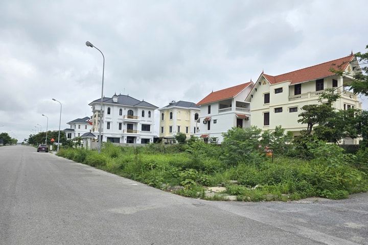 Hải Phòng hướng dẫn thủ tục thu hồi đất đối với các dự án đặc thù