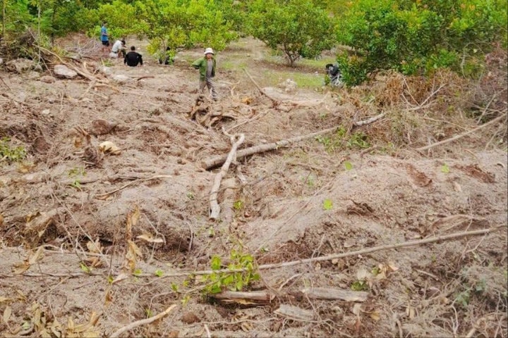 Gia Lai: 6.300m2 đất rừng bị tàn phá, hàng loạt cây rừng bị đốt cháy, xóa sổ