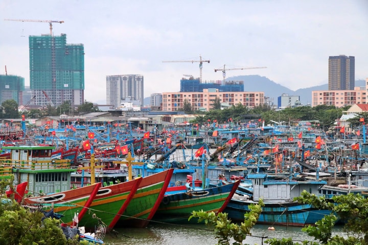 Di chuyển tàu thuyền, sẵn sàng mọi lực lượng cứu hộ