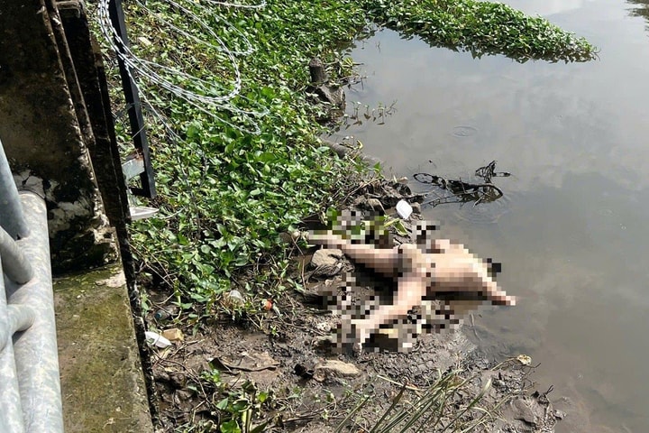 TP.HCM: Phát hiện thi thể tài xế taxi nhảy cầu Sài Gòn