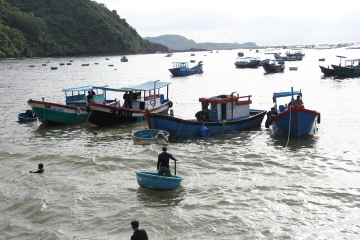Bão số 13: Người đứng đầu chịu trách nhiệm trước pháp luật nếu để xảy ra thiệt hại về người và tài sản do chủ quan, lơ là