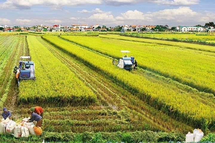 Các trường hợp được miễn thuế sử dụng đất nông nghiệp đến năm 2030