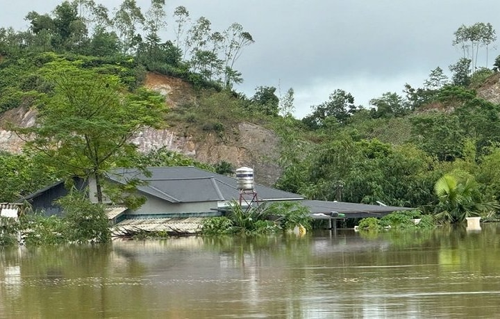 Phú Thọ ban hành chính sách hỗ trợ khôi phục sản xuất nông nghiệp sau thiên tai