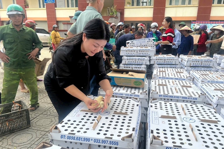 Cao Bằng nhanh chóng khôi phục đời sống và sản xuất sau 2 đợt mưa lũ lịch sử