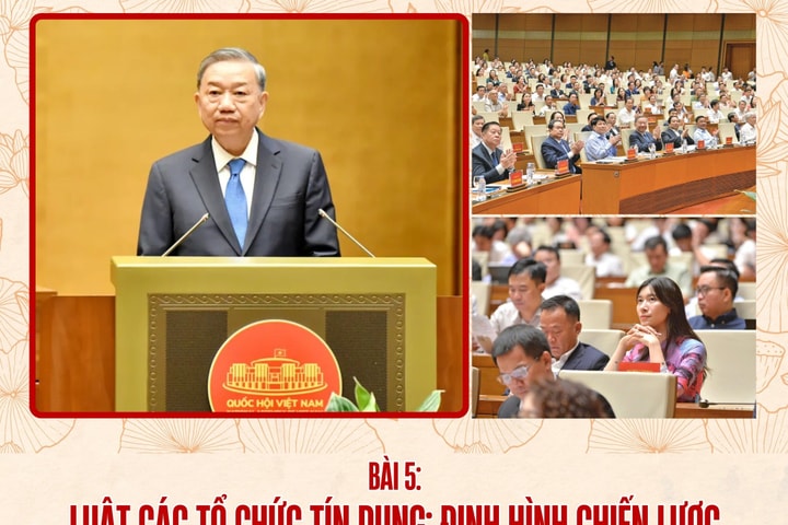 Bài 5: Luật Các Tổ chức Tín dụng: Định hình chiến lược phát triển trong dòng chảy tài chính thế giới