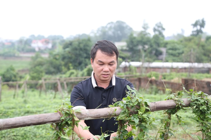 An cư, lập nghiệp và những câu chuyện đổi đời ở Bắc Ninh