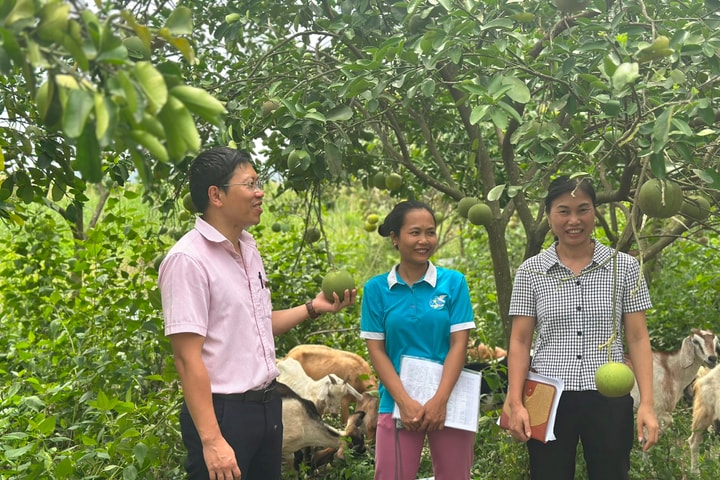 Bệ đỡ giúp người thu nhập thấp an cư, lập nghiệp