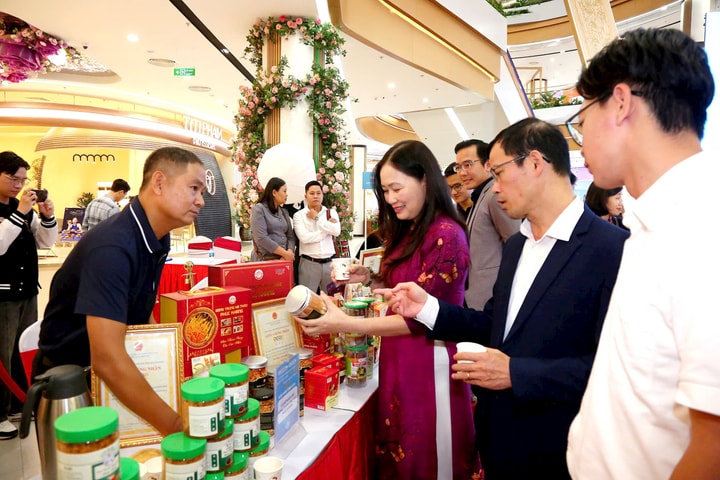 Phát động Ngày mua sắm trực tuyến Hải Phòng 2025