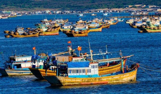 Lâm Đồng quyết tâm cùng cả nước gỡ “Thẻ vàng” IUU