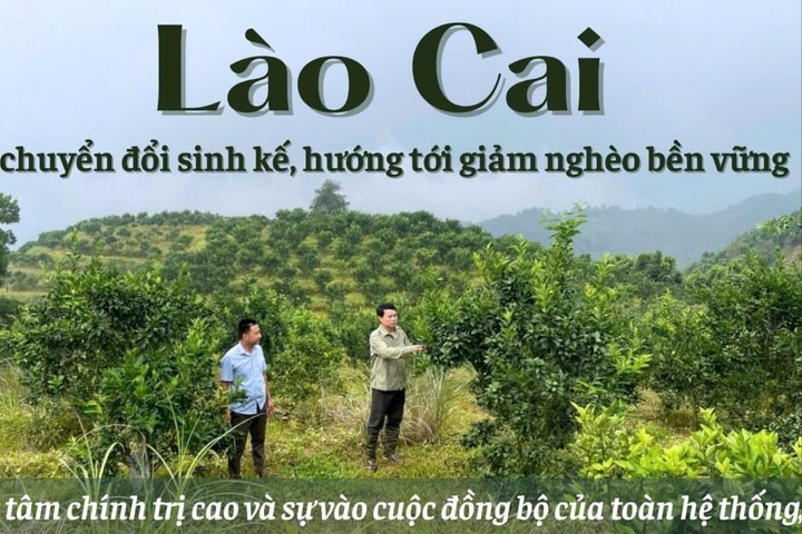 Lào Cai hướng tới mục tiêu giảm nghèo đa chiều, bền vững bằng nội lực và giải pháp đồng bộ