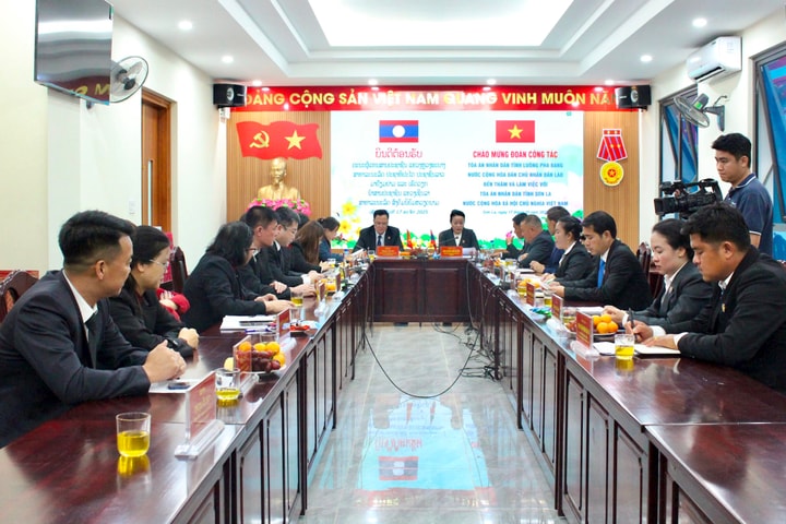 Đoàn TAND tỉnh Luang Prabang thăm và làm việc tại TAND tỉnh Sơn La