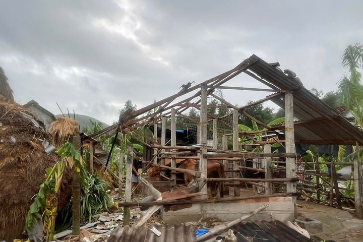 Lốc xoáy lúc rạng sáng làm hư hại 20 nhà dân ở Quảng Ngãi