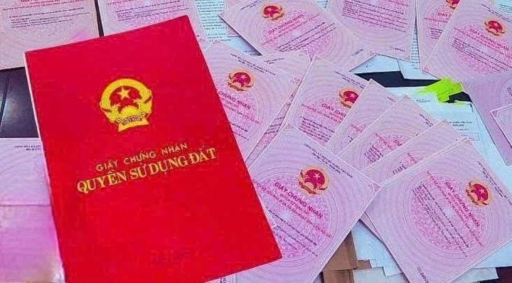 Nghệ An tập trung giải quyết dứt điểm hồ sơ đăng ký đất đai