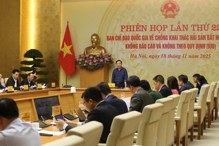 Tăng tốc chống khai thác IUU: Hoàn thiện dữ liệu, siết quản lý tàu cá và xử lý vi phạm