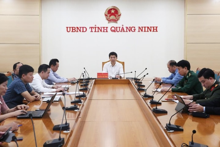 Quảng Ninh tăng cường chống khai thác hải sản IUU, quyết tâm gỡ “thẻ vàng” của EC