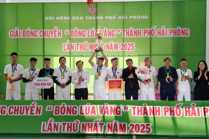 Hải Phòng khai mạc Giải bóng chuyền 'Bông lúa vàng' lần thứ I