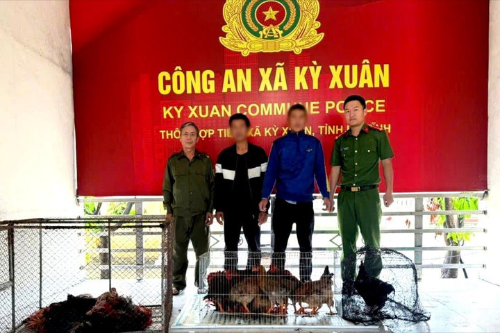 Bắt tạm giam cặp đôi trộm 24 con gà của người dân
