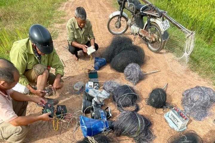 Ngăn chặn nạn giăng lưới diệt chim trời ở Tây Ninh