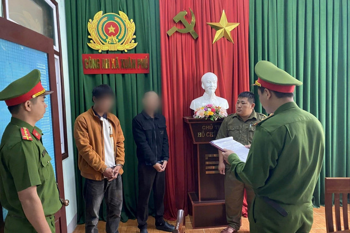 Vướng lao lý vì trộm cây mai vàng trị giá 80 triệu đồng