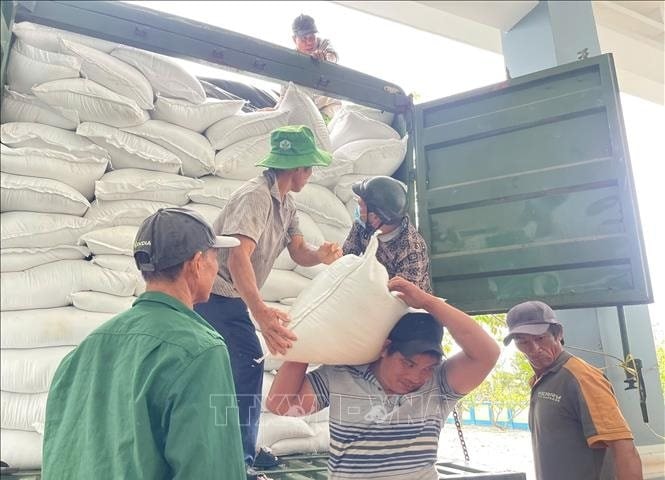 Xuất cấp 4.000 tấn gạo dự trữ quốc gia hỗ trợ các tỉnh chịu thiệt hại do mưa lũ