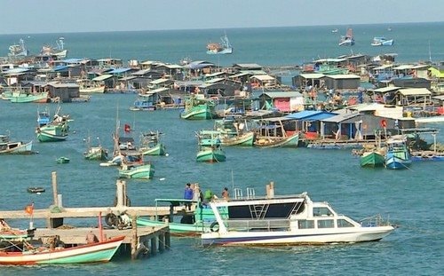 Phát triển nghề nuôi biển là một giải pháp góp phần thực hiện chống khai thác IUU