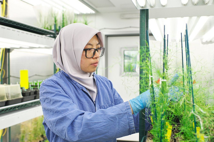 Các nhà khoa học hàng đầu thế giới hiến kế nuôi sống 10 tỷ người