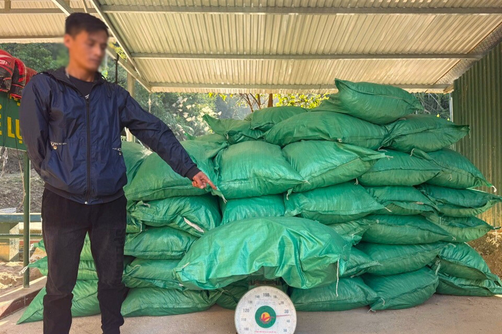 Thu giữ hơn 1,7 tấn cau khô vận chuyển trái phép qua biên giới