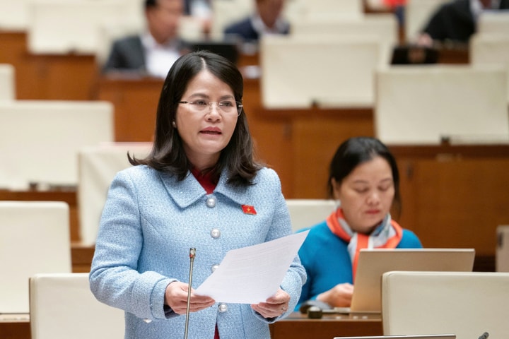 Đại biểu Quốc hội lo ngại khoáng sản có giá trị kinh tế cao sẽ mất đi mãi mãi
