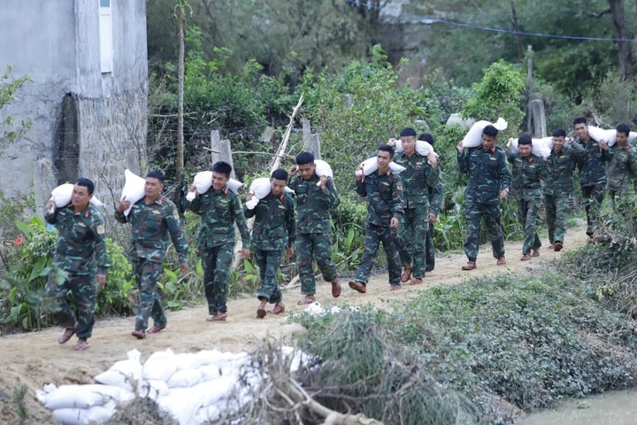 'Cuộc chiến' vá đê nghìn bao cát ở Gia Lai